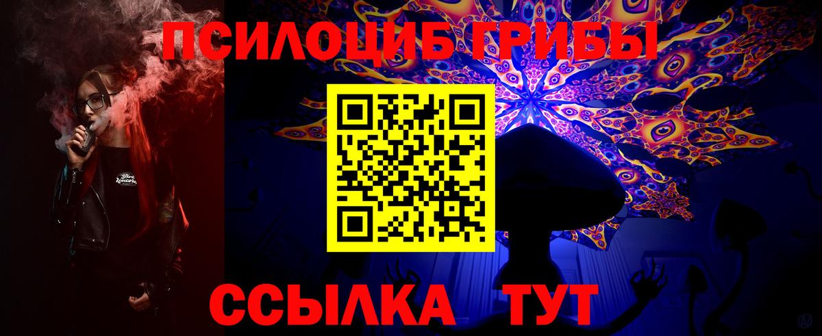 Галлюциногенные грибы Cubensis  Вход с VPN  Псилоцибиновые грибы мухоморы  Кулебаки 